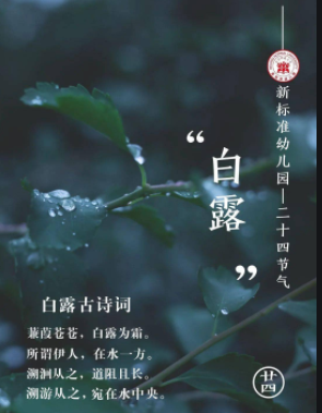 白露节气的含义是什么（白露节气的含义是什么手抄报）