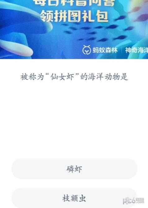 2023神奇海洋6月6日答案 被称为仙女虾的海洋动物是