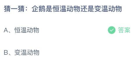 2023蚂蚁庄园6月6日答案 猜一猜企鹅是恒温动物还是变温动物