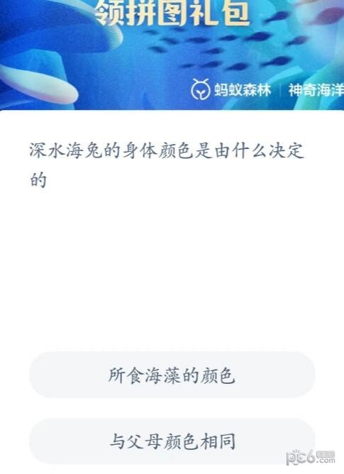 2023神奇海洋6月12日答案 深水海兔的身体颜色是由什么决定的