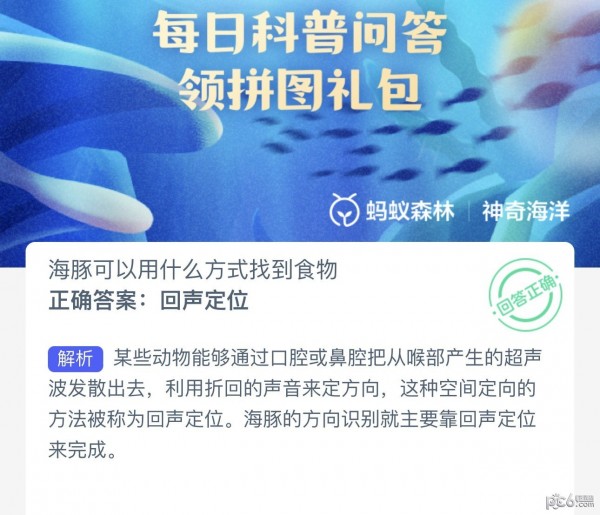 2023神奇海洋6月14日答案 海豚可以用什么方式找到食物