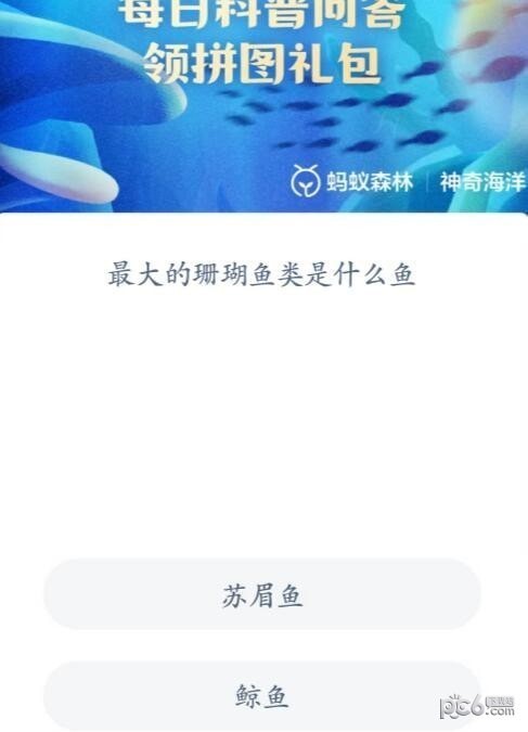 2023神奇海洋6月26日答案 最大的珊瑚鱼类是什么鱼