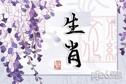 2024年是属什么年 2024年属什么生肖