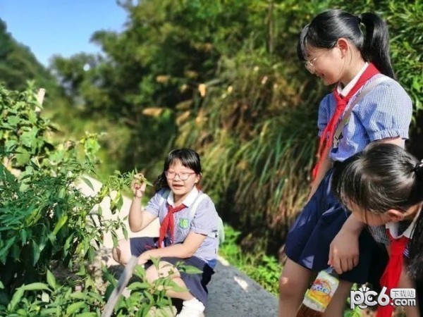 暑假研学游路线推荐 暑假研学游项目推荐