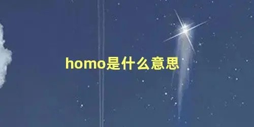 homo是什么意思（无处不在的homo是什么意思）