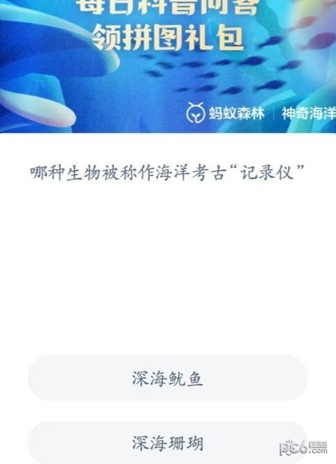 2023神奇海洋7月10日答案 哪种生物被称作海洋考古记录仪