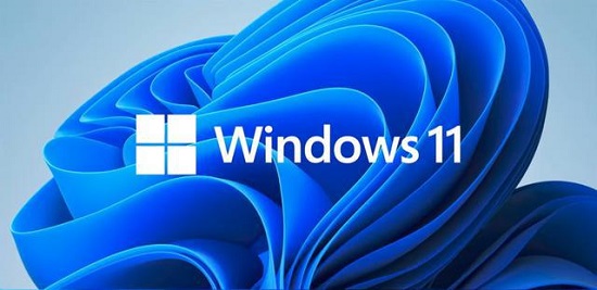 win11如何安装安卓app(win11如何安装ie11)