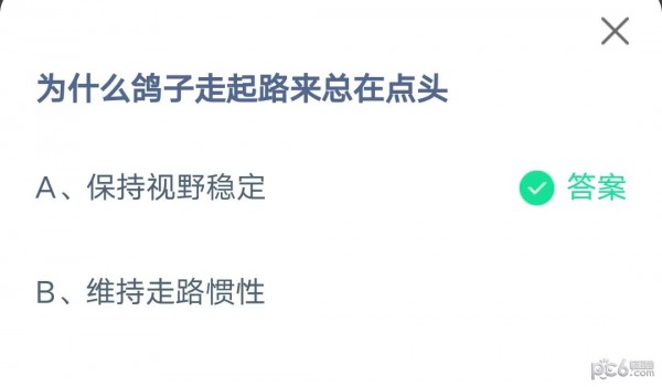 2023蚂蚁庄园7月20日答案 为什么鸽子走起路来总在点头