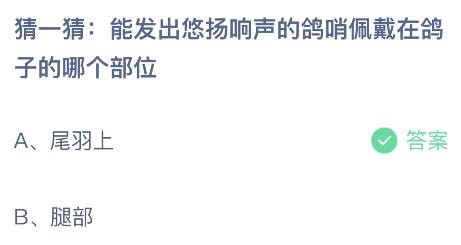 2023蚂蚁庄园小课堂7月26日答案 猜一猜能发出悠扬响声的鸽哨佩戴在鸽子的哪个部位