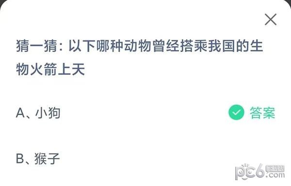 支付宝蚂蚁庄园小课堂问题答案 猜一猜以下哪种动物曾经搭乘我国的生物火箭上天