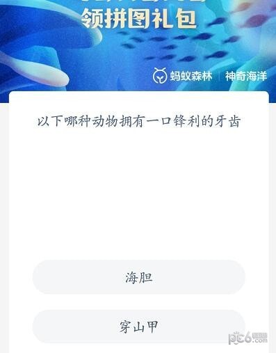 2023神奇海洋7月31日答案 以下哪种动物拥有一口锋利的牙齿