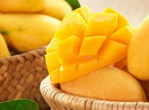 芒果是什么季节丰收的水果