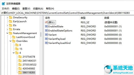 win11搜索栏不能输入文字(搜索此电脑无法输入)