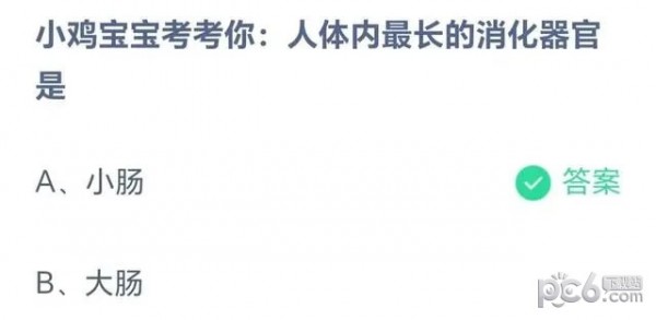 支付宝蚂蚁庄园小课堂问题答案 小鸡宝宝考考你人体内最长的消化器官是