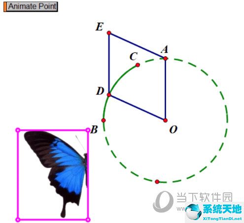 几何画板画蝴蝶曲线(几何画板蝴蝶飞)