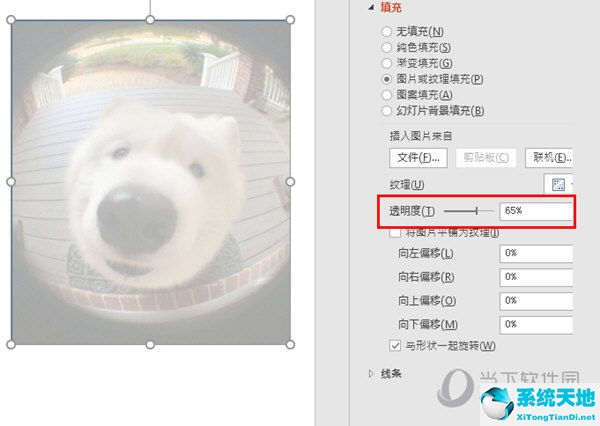PPT2016如何设置图片透明度 这方法了解下
