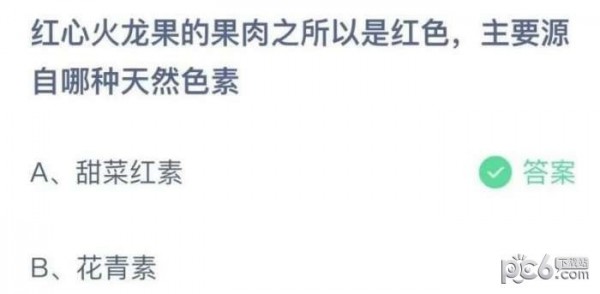 支付宝蚂蚁庄园小课堂问题答案 红心火龙果的果肉之所以是红色主要源自哪种天然色素