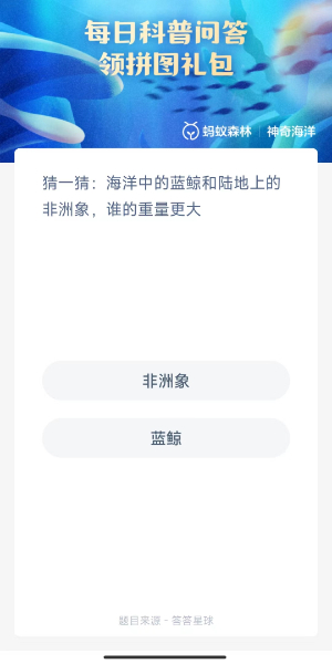 2023神奇海洋10月19日答案 海洋中的蓝鲸和陆地上的非洲象谁的重量更大