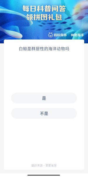 2023神奇海洋10月24日答案 白鲸是群居动物吗