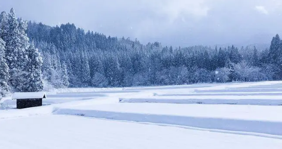 北京2020年11月下雪了吗