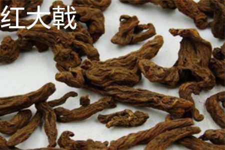 红大戟的别名