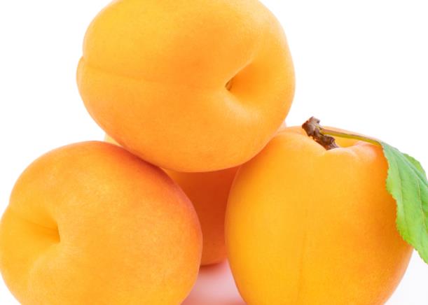 吃杏子的好处有哪些止咳平喘美容减肥抗癌(吃杏子有什么副作用吗)