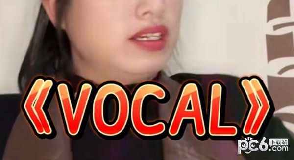 vocal是什么意思 vocal是什么梗