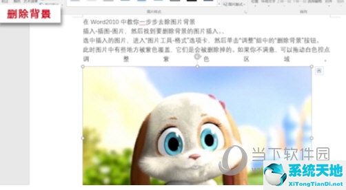 如何删除word图片背景(word2016如何删除图片背景)