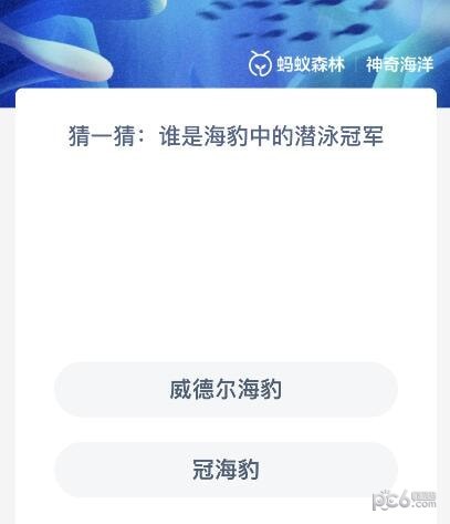 神奇海洋今日答案最新11.17 谁是海豹中的潜泳冠军