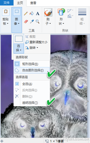 windows11画图工具下载(windows画图工具不见了)