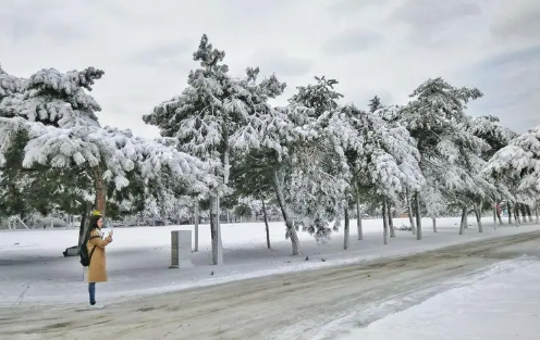 2023年小雪节气冷不冷小雪节气天气怎么样(小雪节气天气冷吗)