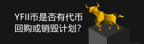 2024年YFII币是否有代币回购或销毁计划？