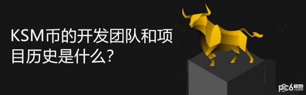 2024年KSM币的开发团队和项目历史是什么？