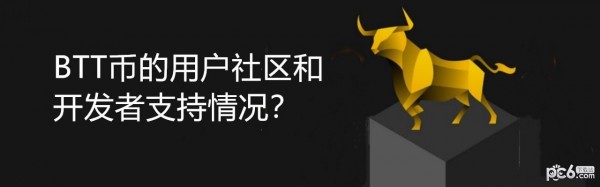 2024年BTT币的用户社区和开发者支持情况？