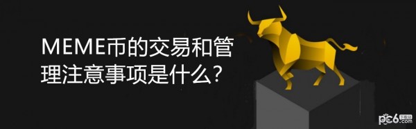 2024年MEME币的交易和管理注意事项是什么？