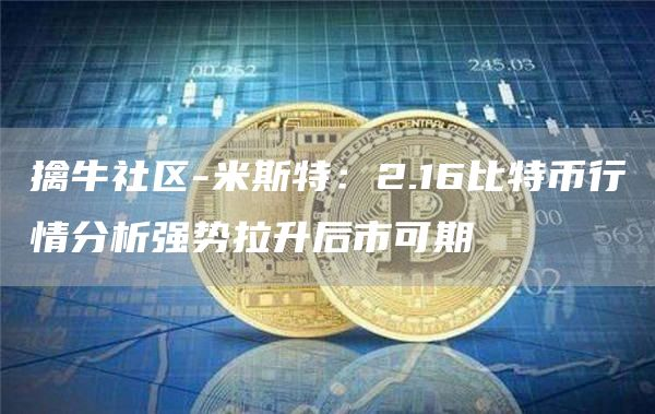 擒牛社区-米斯特：2.16比特币行情分析强势拉升后市可期