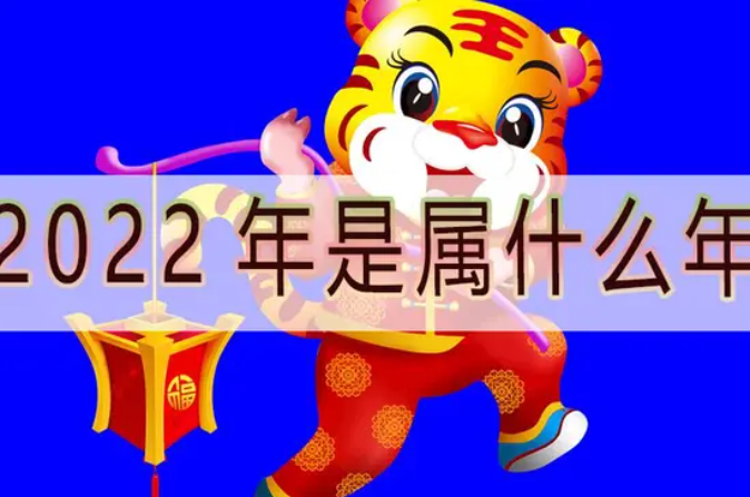 今年是什么年（今年是什么年2023年是什么年）