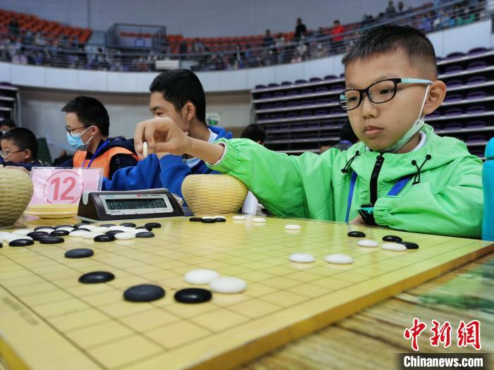 青海：千名围棋少年集体定段、升段