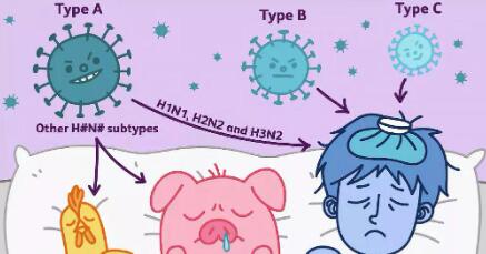 甲流和新冠症状上有哪些区别（甲流和新冠的区别）