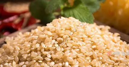 糙米是什么米（糙米是什么米怎么煮熟）