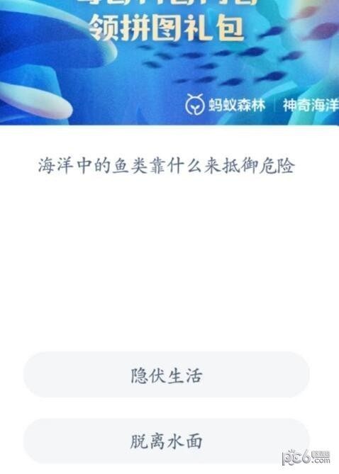 2023神奇海洋7月12日答案 海洋中的鱼类靠什么来抵御危险