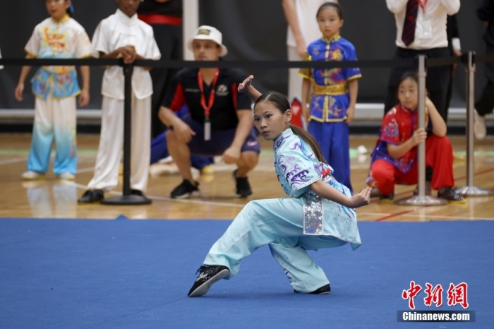 第四届泛美传统武术锦标赛在加拿大万锦市揭幕