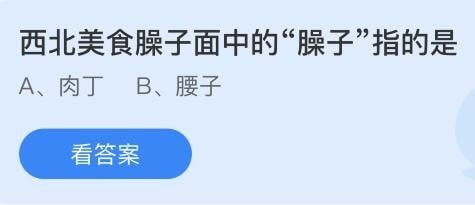 支付宝蚂蚁庄园小课堂问题答案 西北美食臊子面中的臊子指的是