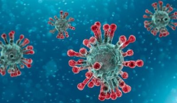 新冠病毒在物体表面可以存活多久