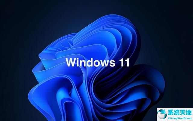 win11专业版区别(win11专业版变家庭版)