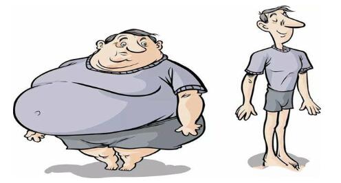 为什么胖的人比瘦的人怕热