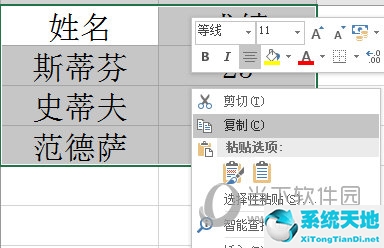 excel表格复制成图片(怎么把图片复制到excel表格里)