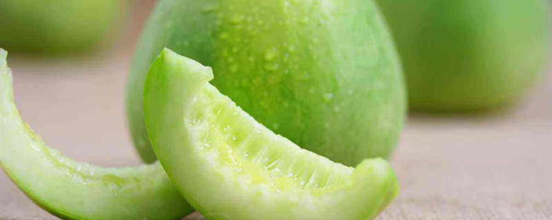 香瓜的养殖方法(香瓜怎样种植与管理视频)