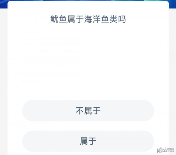 2023支付宝神奇海洋11月14日最新答案 鱿鱼属于海洋鱼类吗