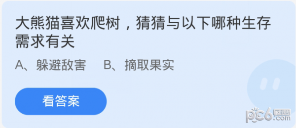 支付宝蚂蚁庄园小课堂今日答案 大熊猫喜欢爬树猜猜与以下哪种生存需求有关